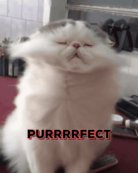 Schrödinger's cat